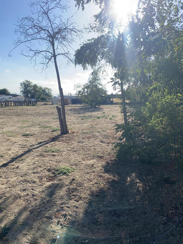 39587 Cherry Valley Boulevard Property Photo 6