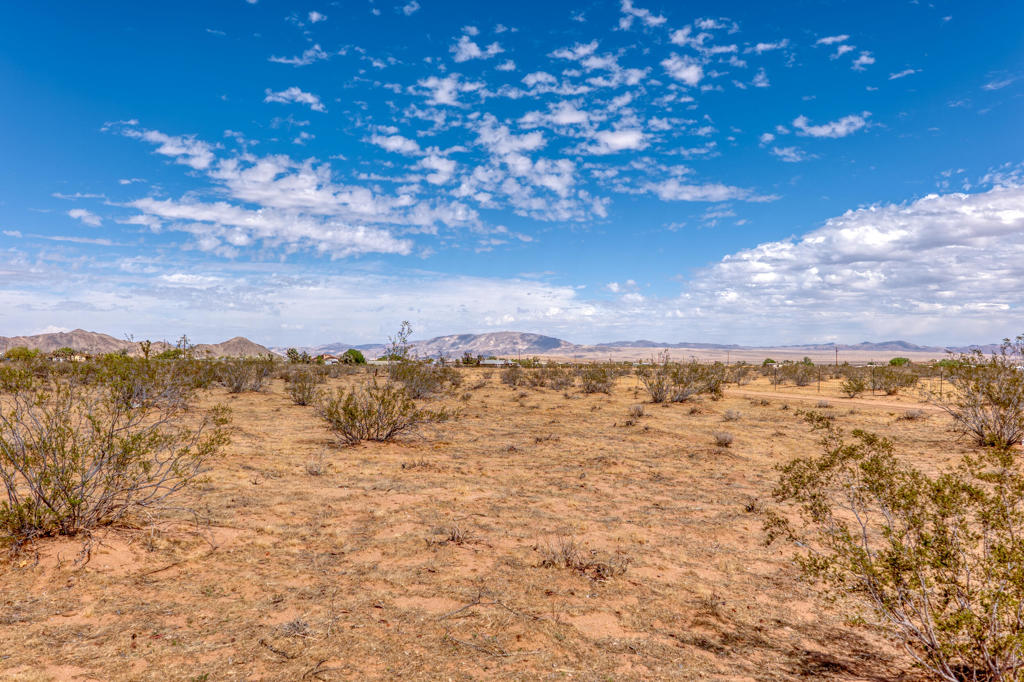 60382 Stearman Road Property Photo 38