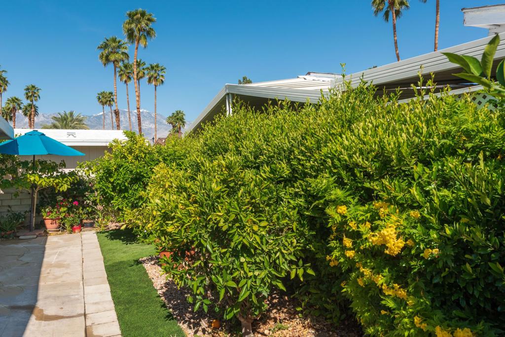 101 Acapulco Street Property Photo 23
