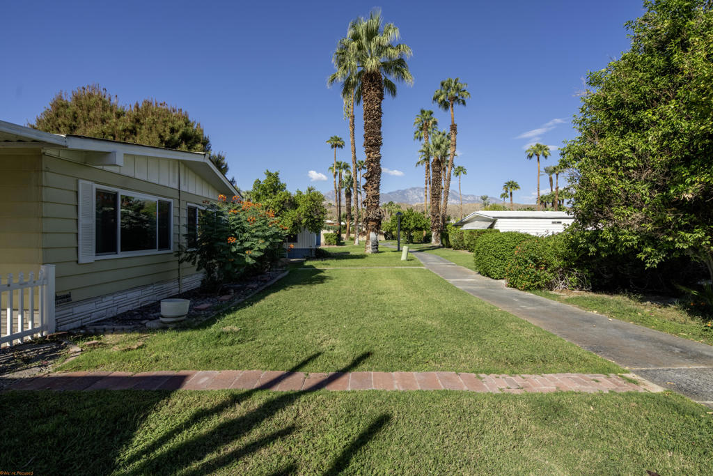 146 Lincoln Downs Street Property Photo 35