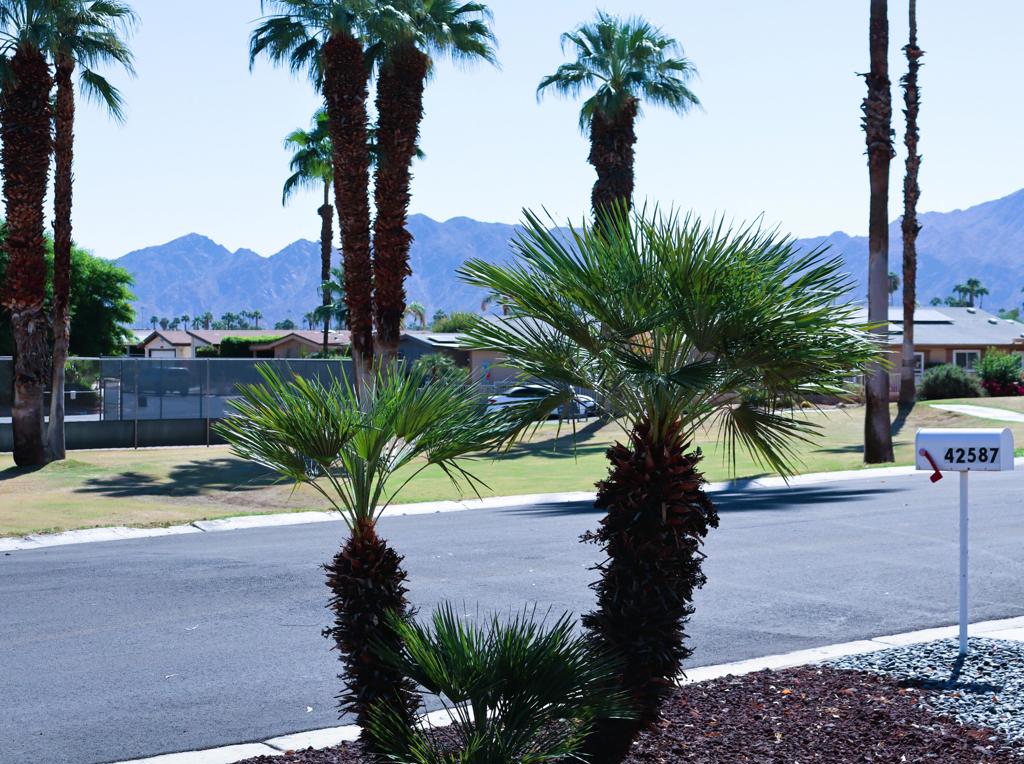 42587 Vanadium Place Property Photo 6