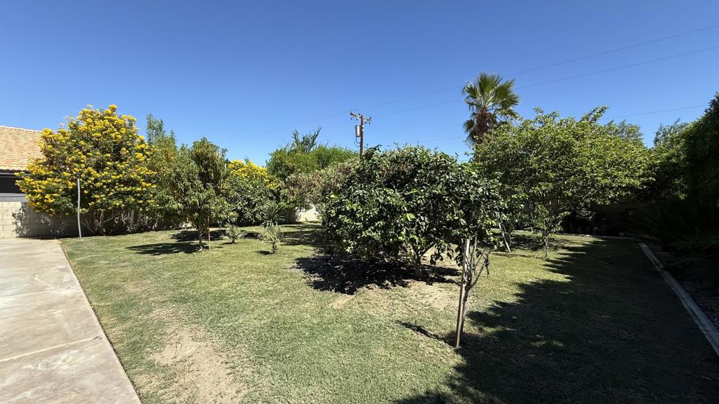 33330 Whispering Palms Trail Property Photo 41