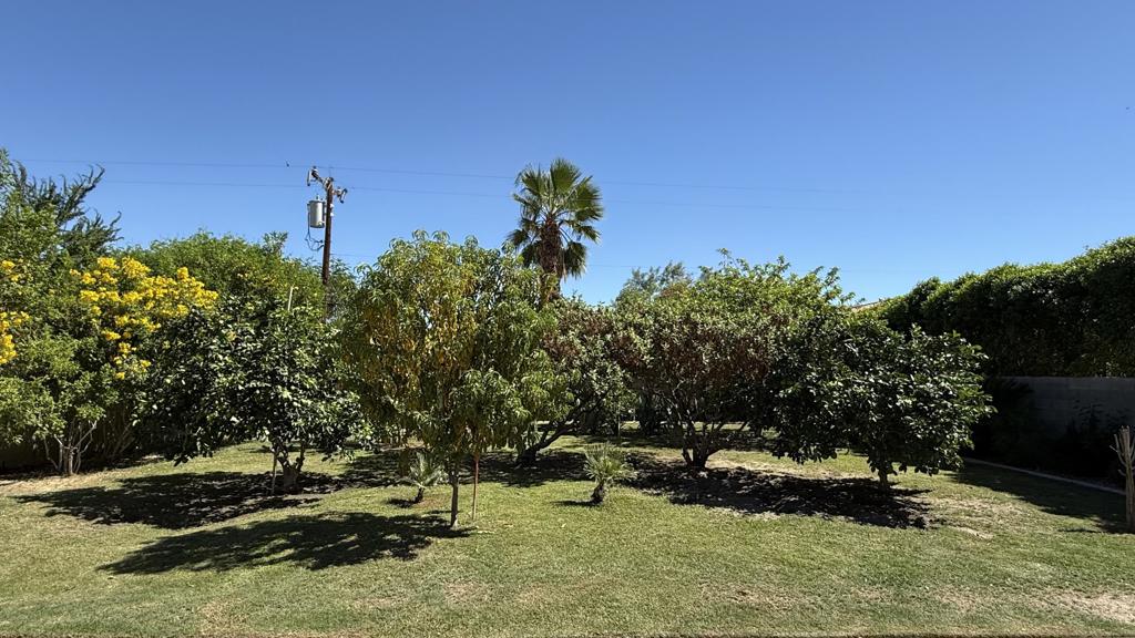 33330 Whispering Palms Trail Property Photo 42