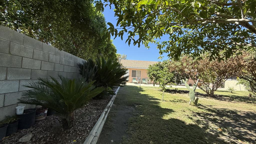 33330 Whispering Palms Trail Property Photo 44