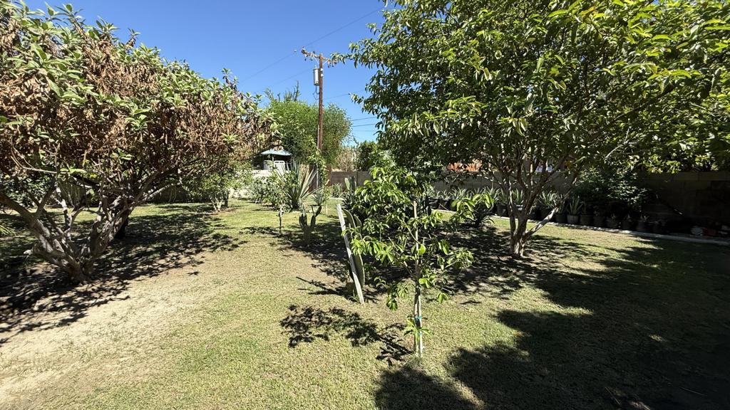 33330 Whispering Palms Trail Property Photo 45