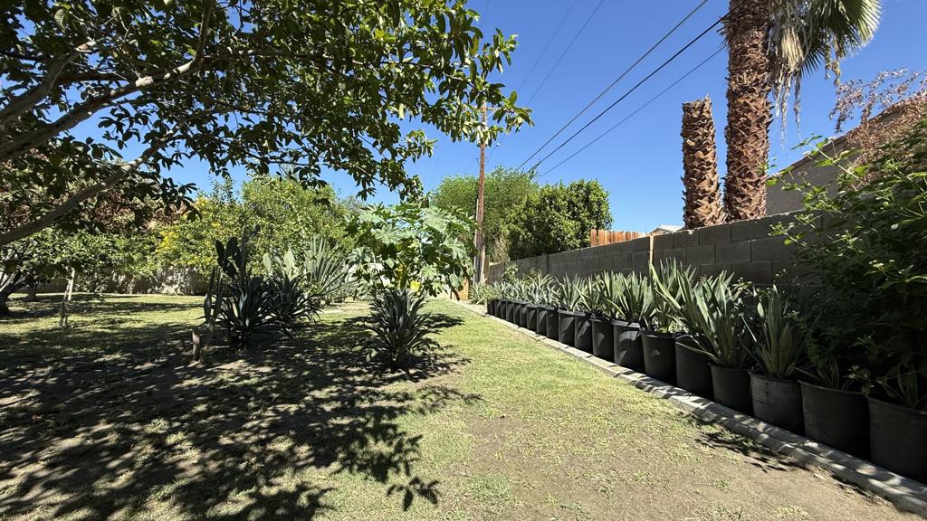 33330 Whispering Palms Trail Property Photo 49