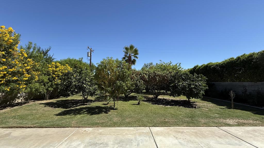 33330 Whispering Palms Trail Property Photo 51