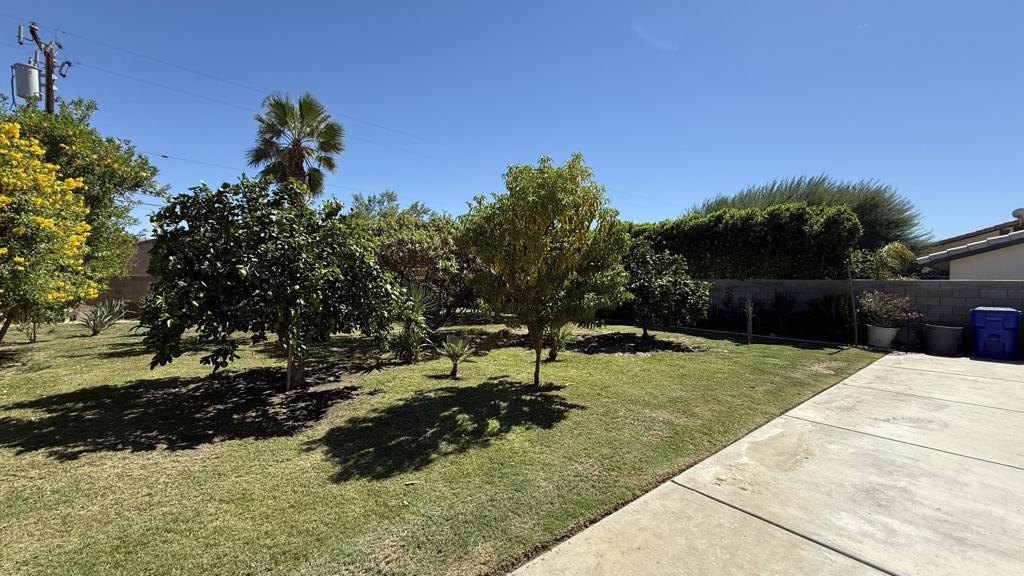 33330 Whispering Palms Trail Property Photo 52