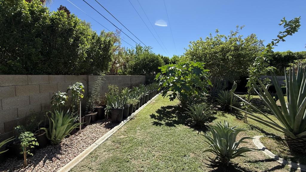 33330 Whispering Palms Trail Property Photo 53