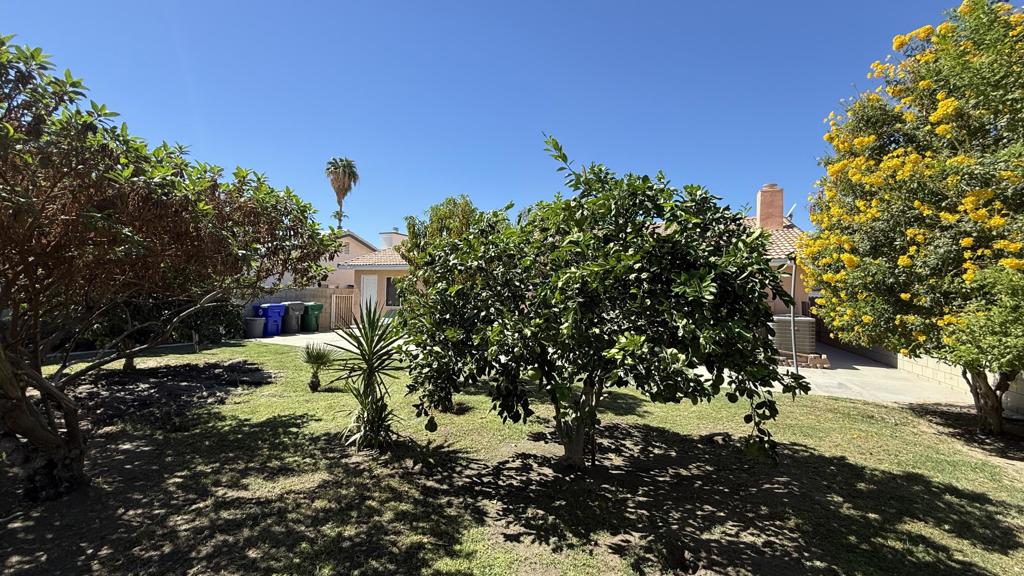 33330 Whispering Palms Trail Property Photo 54