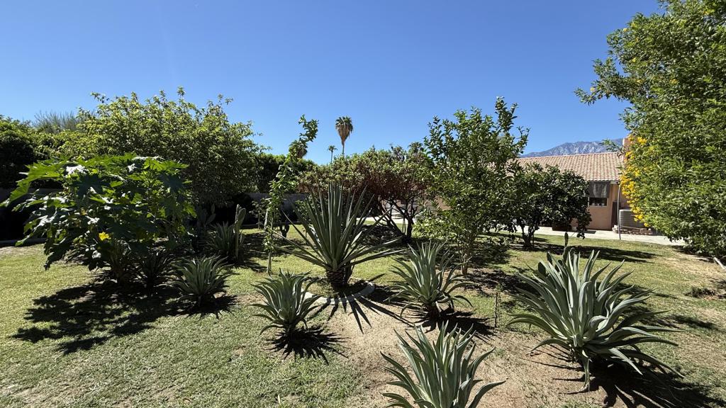 33330 Whispering Palms Trail Property Photo 56