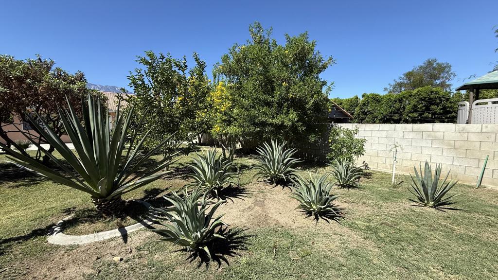 33330 Whispering Palms Trail Property Photo 57