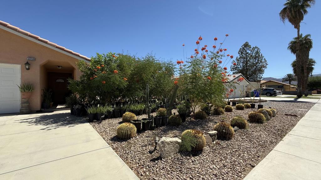 33330 Whispering Palms Trail Property Photo 62