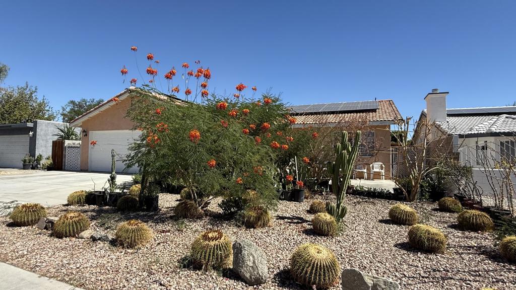 33330 Whispering Palms Trail Property Photo 66