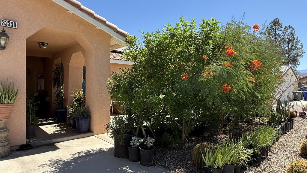 33330 Whispering Palms Trail Property Photo 68