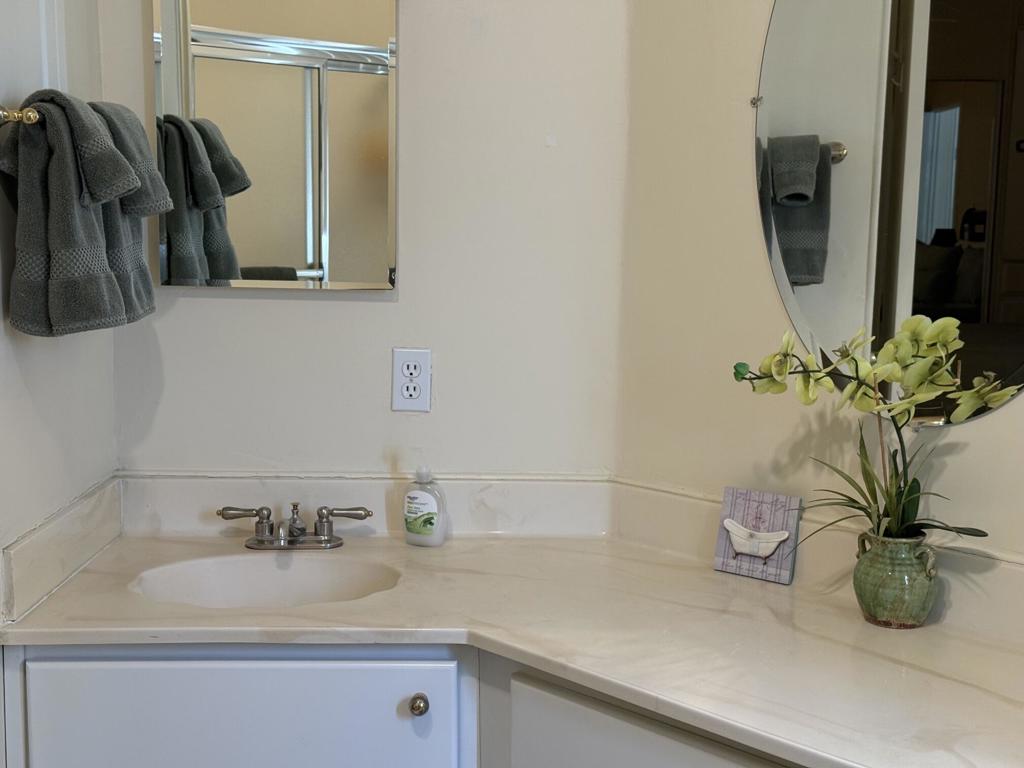 73298 Adobe Springs Drive Property Photo 18