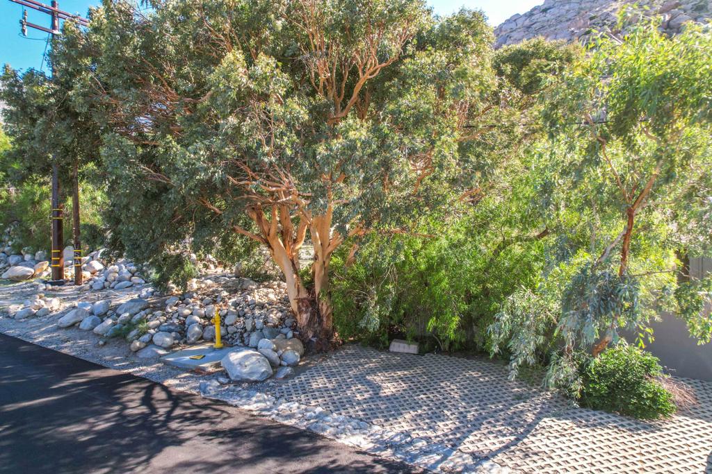 15971 Snow Creek Road Property Photo 26