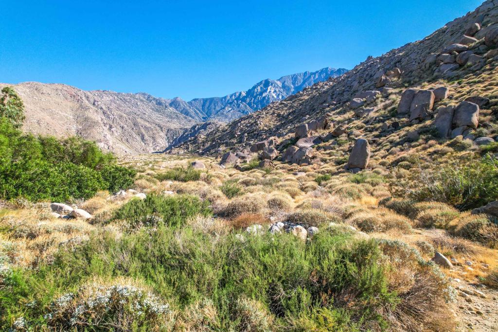15971 Snow Creek Road Property Photo 34