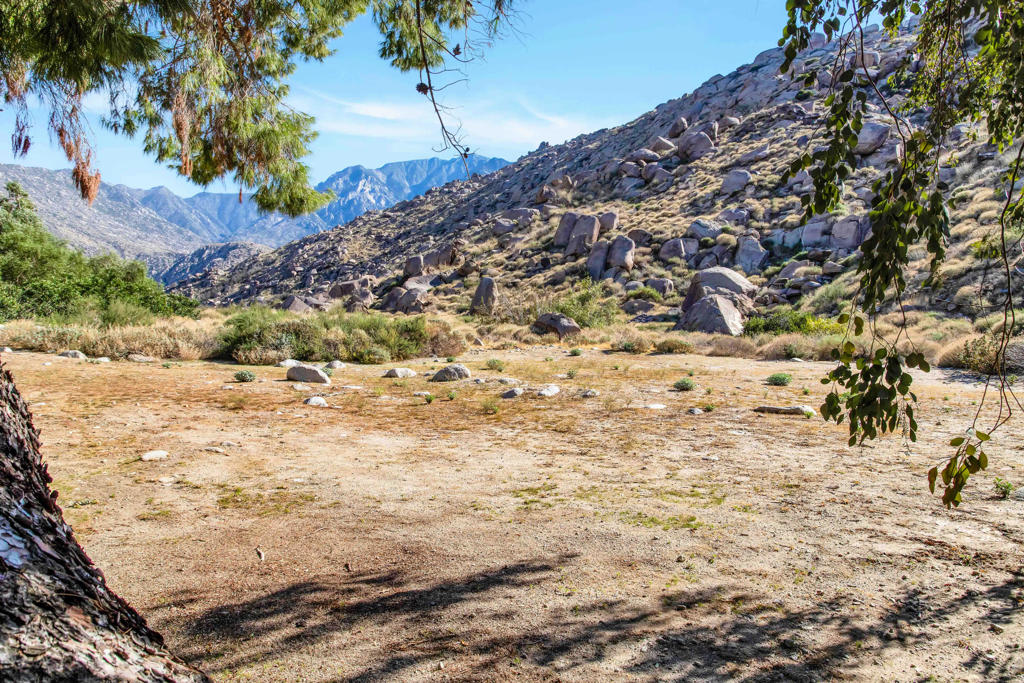 15971 Snow Creek Road Property Photo 40