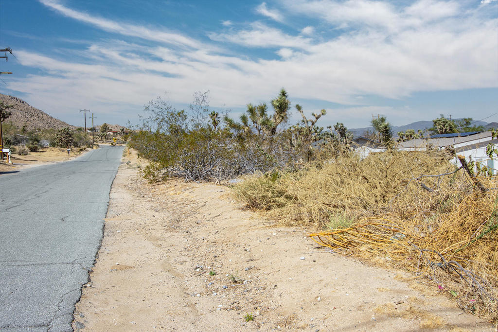 208 Sandalwood Trail Property Photo 9