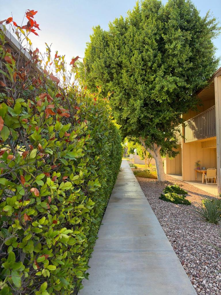 77845 California Drive D9 Property Photo 7