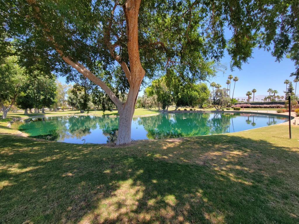 452 Paseo Perdido Property Photo 74