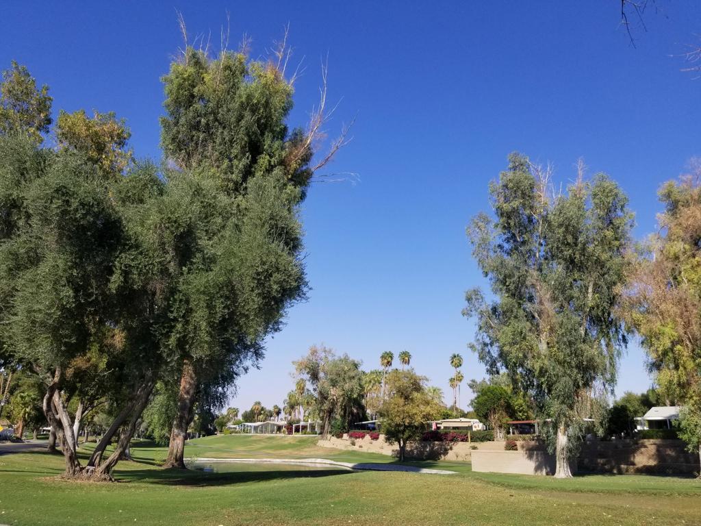 452 Paseo Perdido Property Photo 80