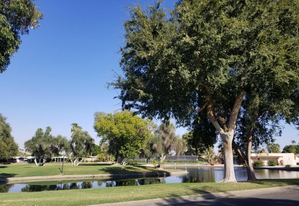 452 Paseo Perdido Property Photo 82