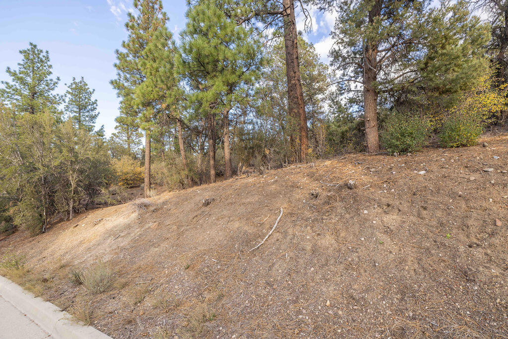 432 Woodcreek Drive Property Photo 3
