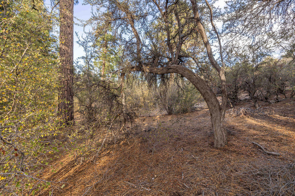 432 Woodcreek Drive Property Photo 4