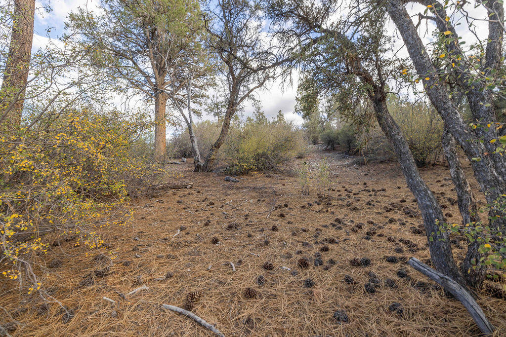 432 Woodcreek Drive Property Photo 11