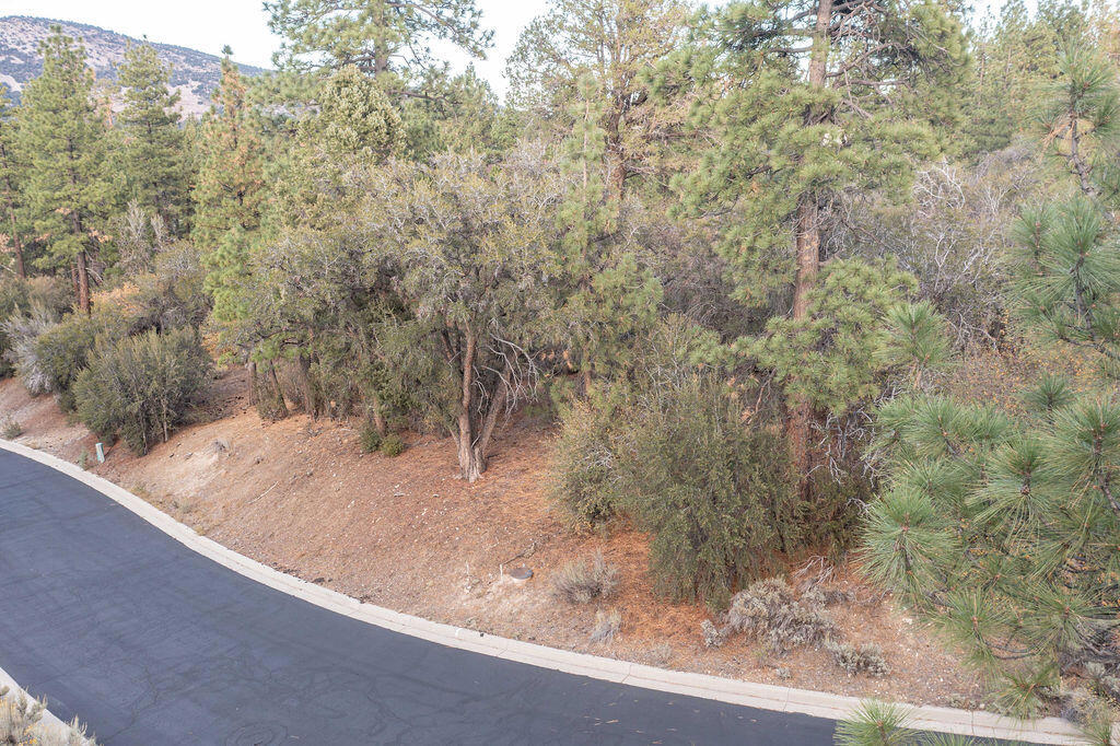 432 Woodcreek Drive Property Photo 14