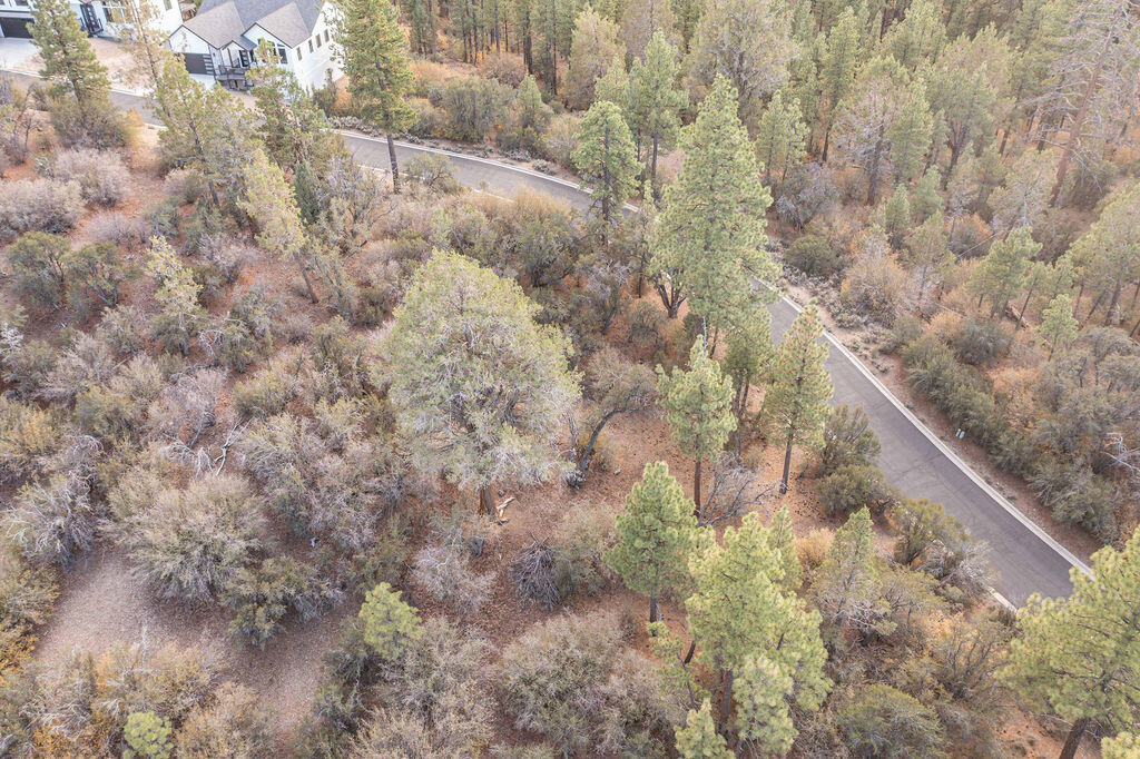 432 Woodcreek Drive Property Photo 18