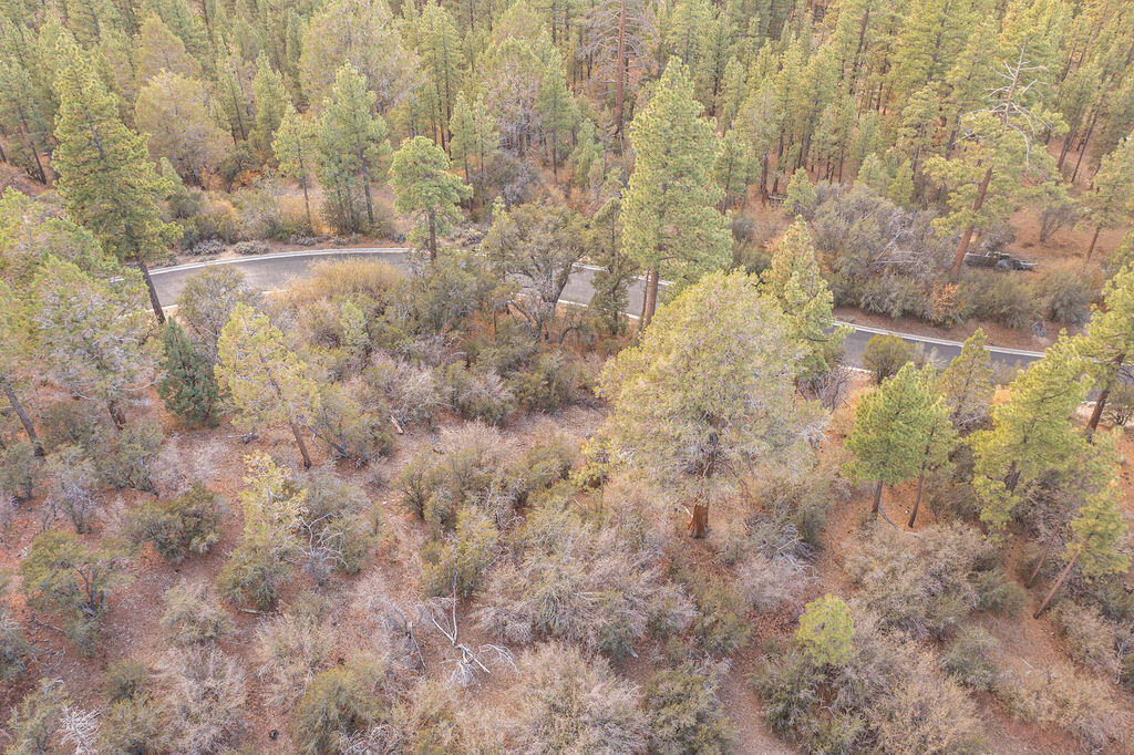 432 Woodcreek Drive Property Photo 19