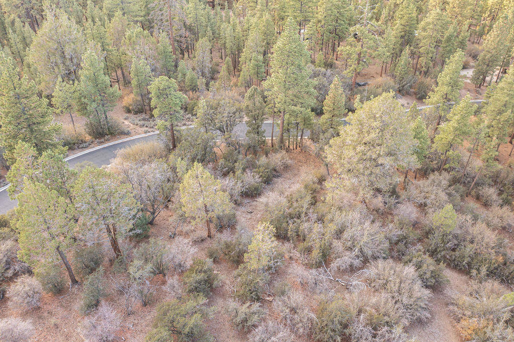 432 Woodcreek Drive Property Photo 20