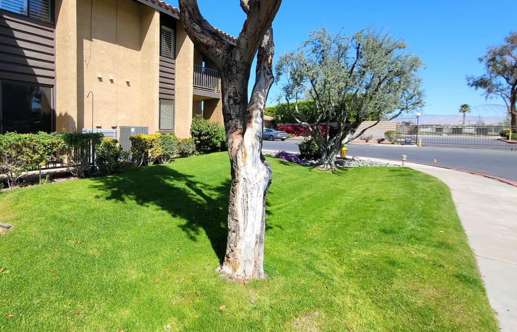 31200 Landau Boulevard 2407 Property Photo 2