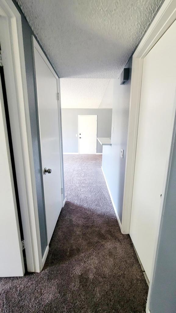31200 Landau Boulevard 2407 Property Photo 12