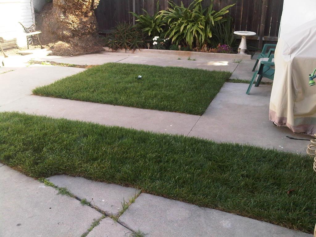 2227 S Redondo Boulevard Property Photo 10