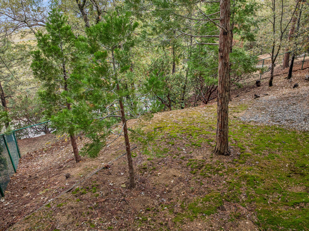 1287 Sequoia Drive Property Photo 45
