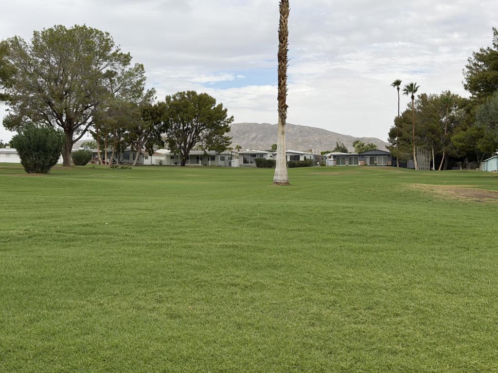 69554 Morningside Drive Property Photo 4