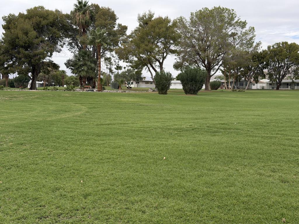 69554 Morningside Drive Property Photo 5
