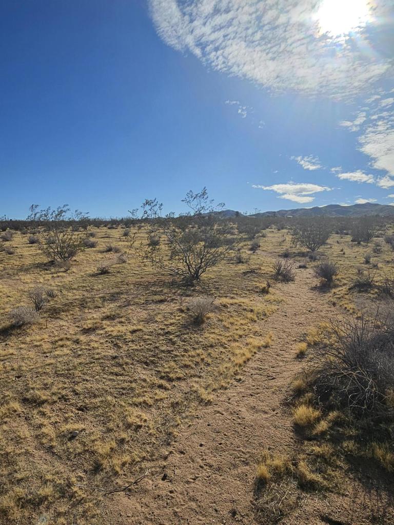 0 Valley View Road Property Photo 4