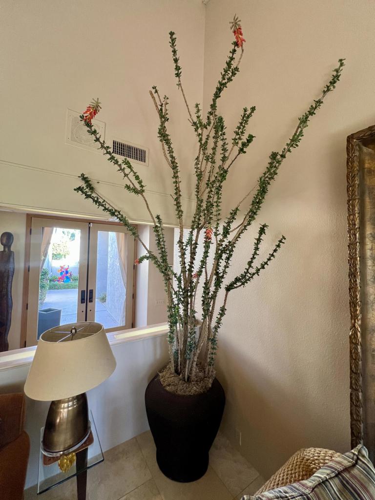 743 Inverness Drive Property Photo 15