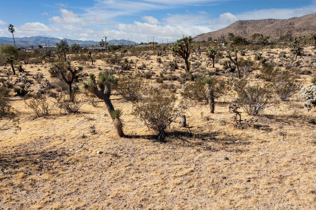 5610 Yucca Mesa Road Property Photo 6