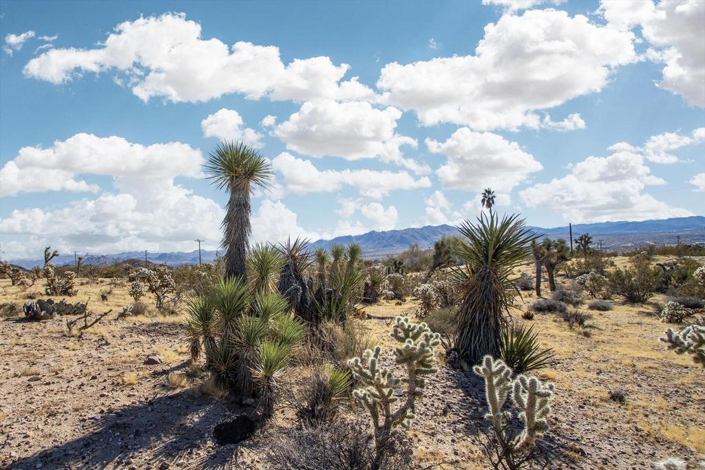 5610 Yucca Mesa Road Property Photo 8