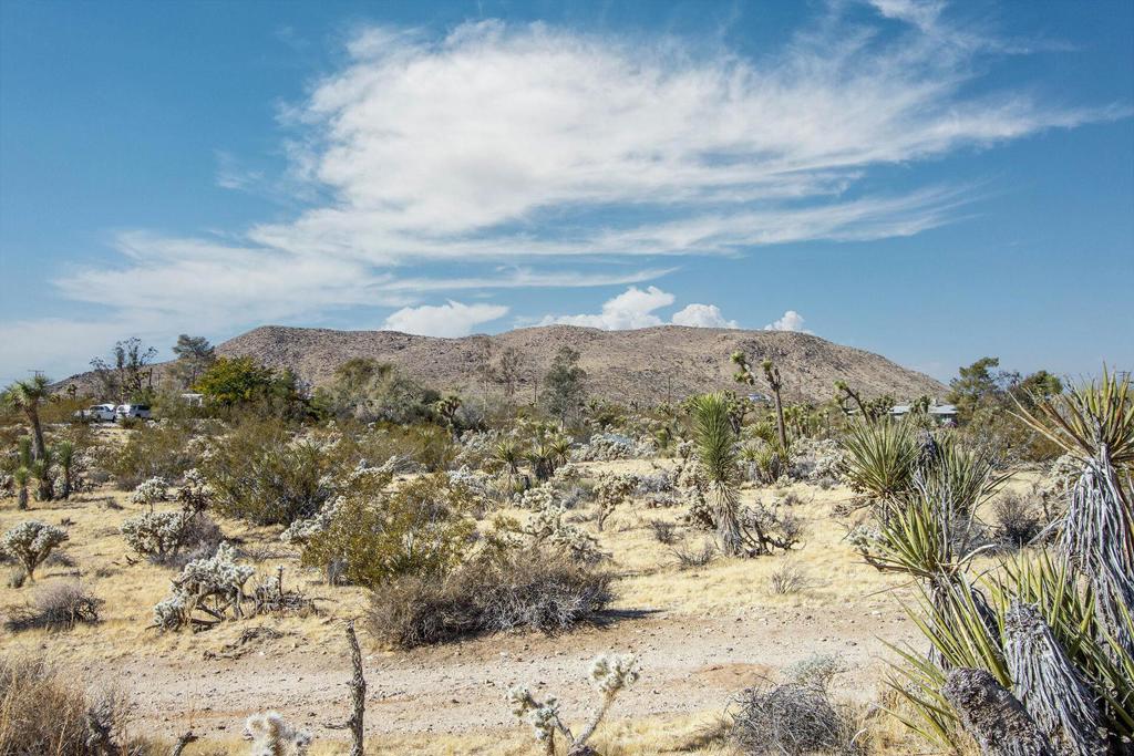 5610 Yucca Mesa Road Property Photo 10