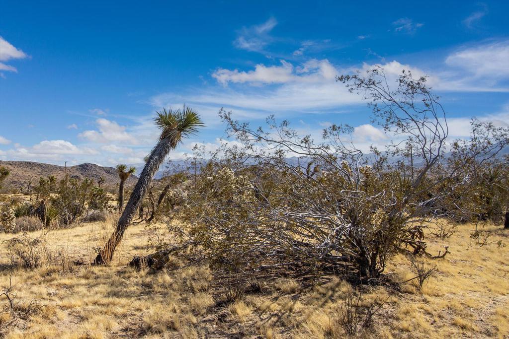 5610 Yucca Mesa Road Property Photo 12