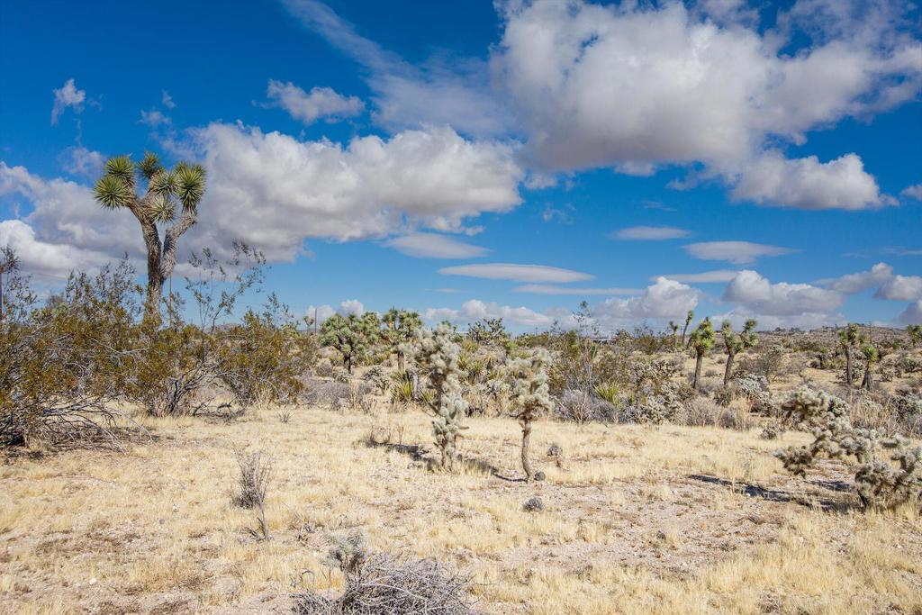 5610 Yucca Mesa Road Property Photo 14