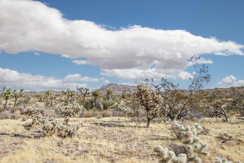 5610 Yucca Mesa Road Property Photo 19