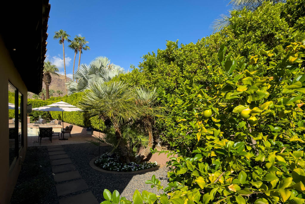 252 Camino Sur Property Photo 61